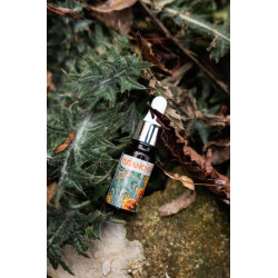 Vzorek parfému Tutanchamon...