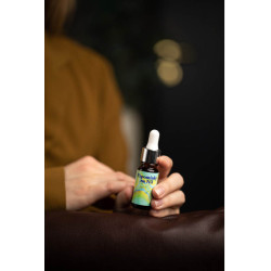 Vzpomínky na Nil - olejový...