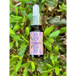 Epigen - olejový parfém 3 ml