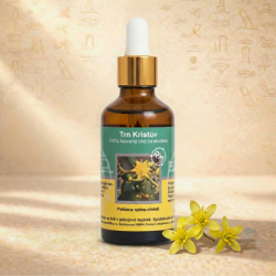 Trn Kristův olej