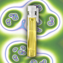 Zdraví - olejový parfém 3 ml