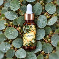 Eukalyptus – lisovaný olej 20 ml, listy eukalyptu s kapkami rosy