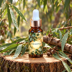 Eukalyptus – lisovaný olej 20 ml na řezu kmene v eukalyptovém lese