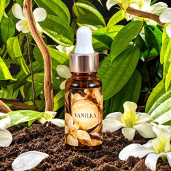 Vanilka – lisovaný olej 10 ml v zeleni s bílými vanilkovými orchidejemi