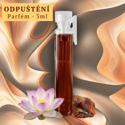 Odpuštění