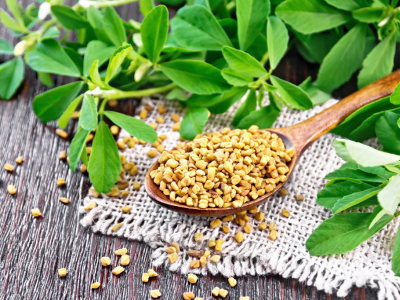 Budoucnost je pískavice